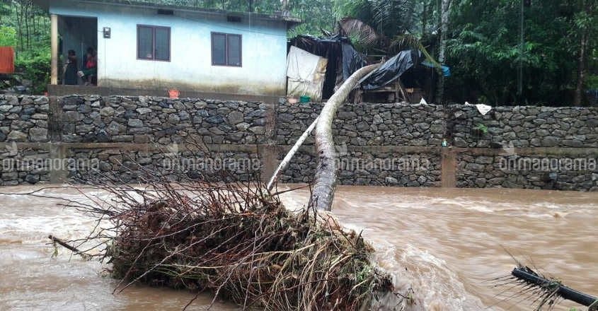 Rain Ravages Kerala Kills Kerala Rains Kerala Rain Damage