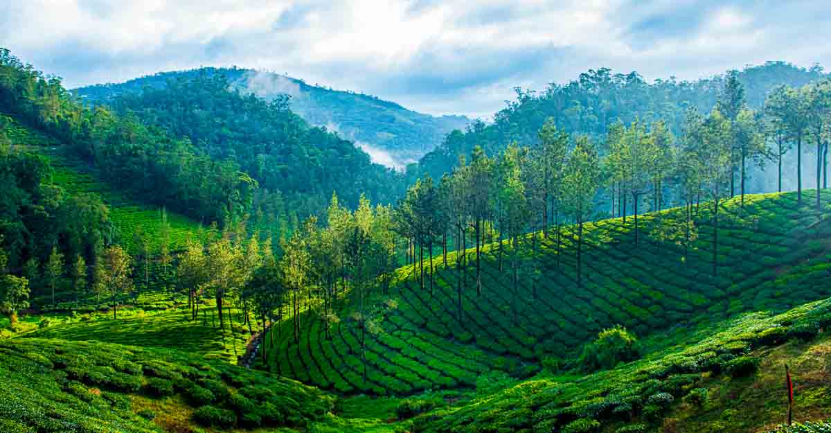 A Complete Guide To Picturesque Thekkady Onmanorama Travel