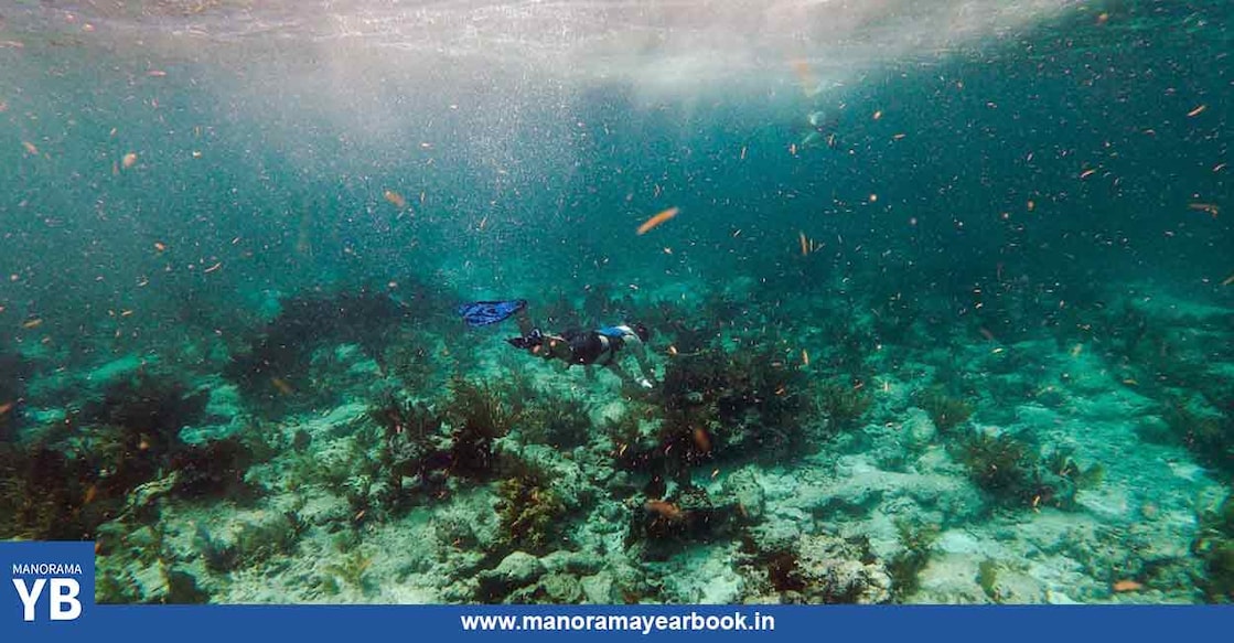 More than 170 countries adopted by consensus a sweeping political declaration promising urgent action to protect the ocean. Photo: AFP