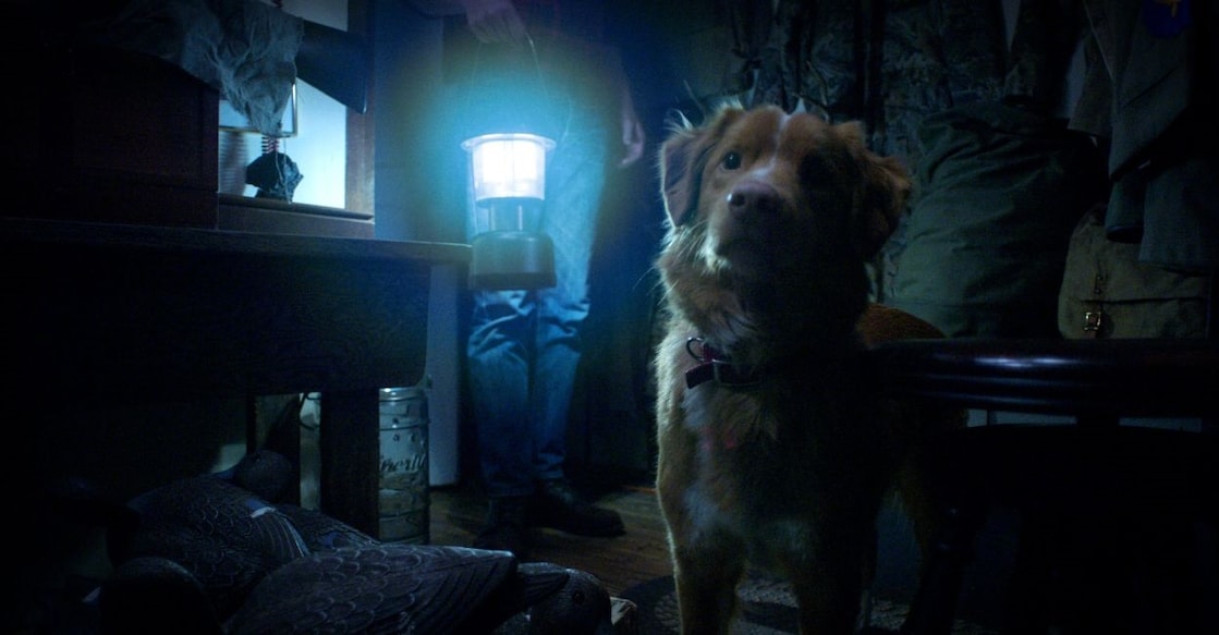 Still from 'Good Boy'. Photo: IMDb