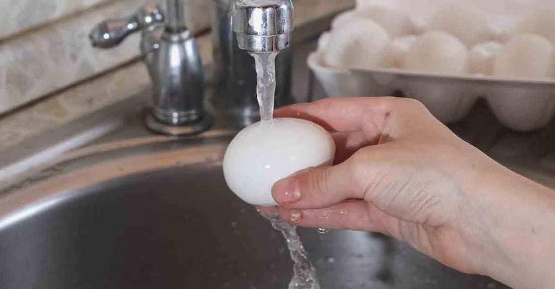 Photo: Shutterstock/Evtushkova Olga