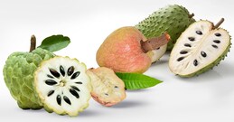 Ramphal, Sitaphal and Lakshman Phal: The confusing fruit trio explained