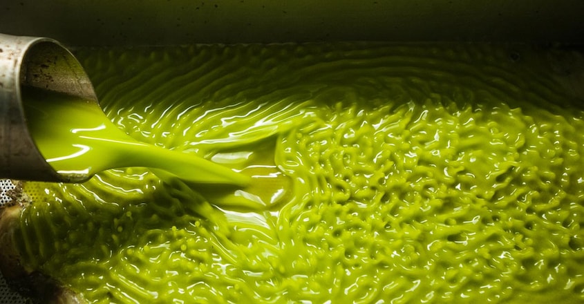 Pomace oil Pomace oil pouring into tank at a cold-press factory. Photo: Shutterstock/FVPhotography
