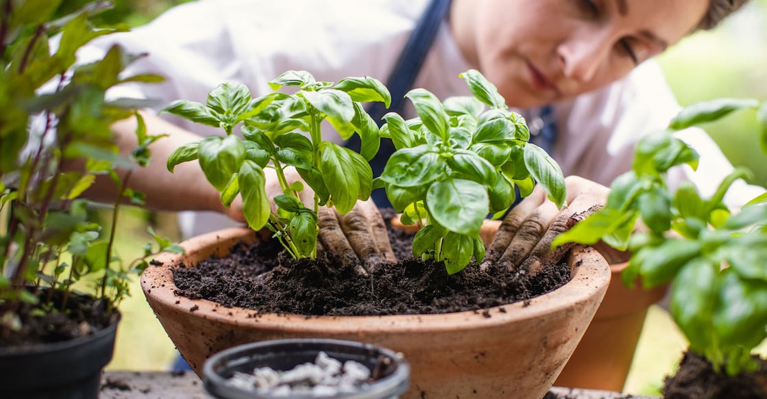 Representative image: iStock/sanjeri