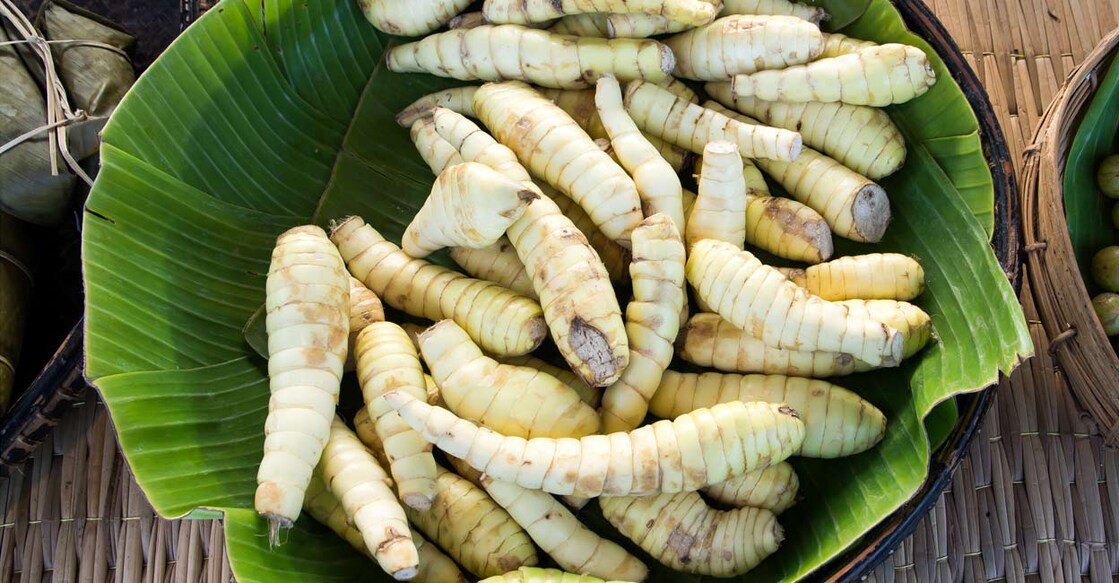 Arrowroot. Photo: Shutterstock/Photo Win1
