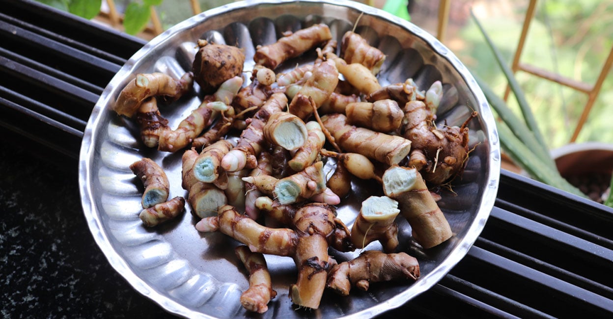 Blue turmeric: A magic root with a Vicks-like aroma and no yellow stains