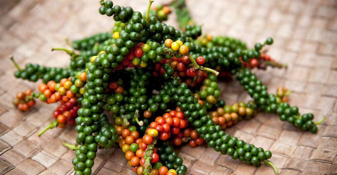 Freshly plucked peppercorns. Photo: Shutterstock/Nalidsa