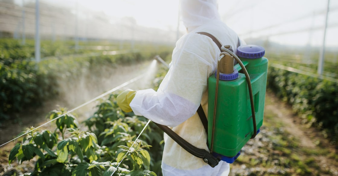 Representative image: Shutterstock/mladenbalinovac