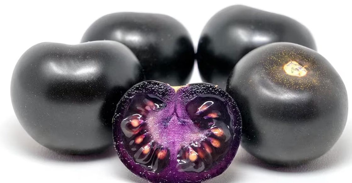 Purple tomato. Photo: Norfolk Healthy Produce