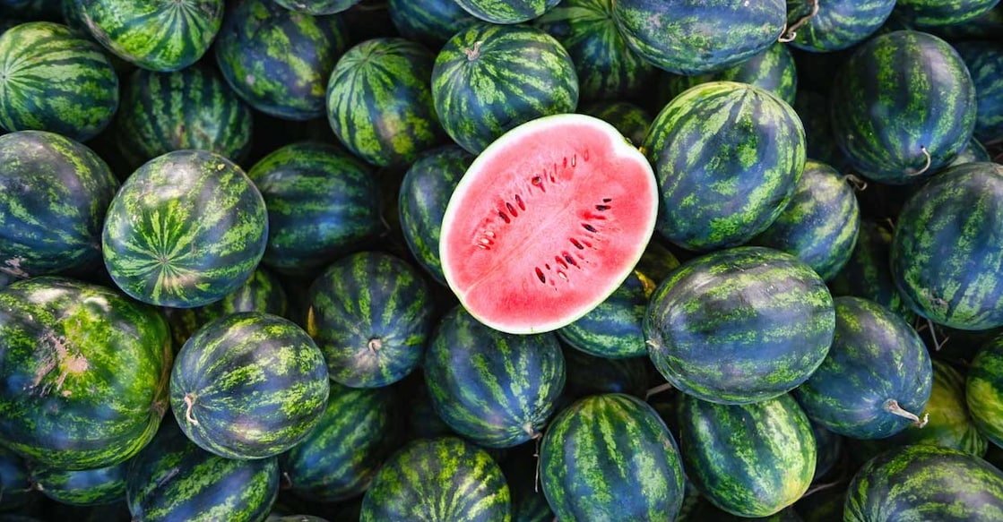 Pile of ripe watermelons. Photo: Shutterstock/Bigc Studio