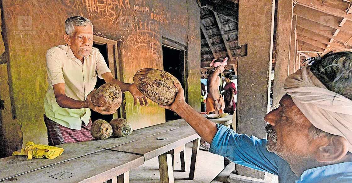 Kizhakkayil Sreedharan accepts coconuts as payment instead of cash from those who dine at his tea shop in Thiruthy.