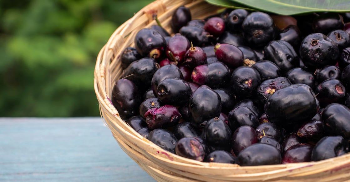 Njaval pazham. Photo: iStock/Arnav Ray