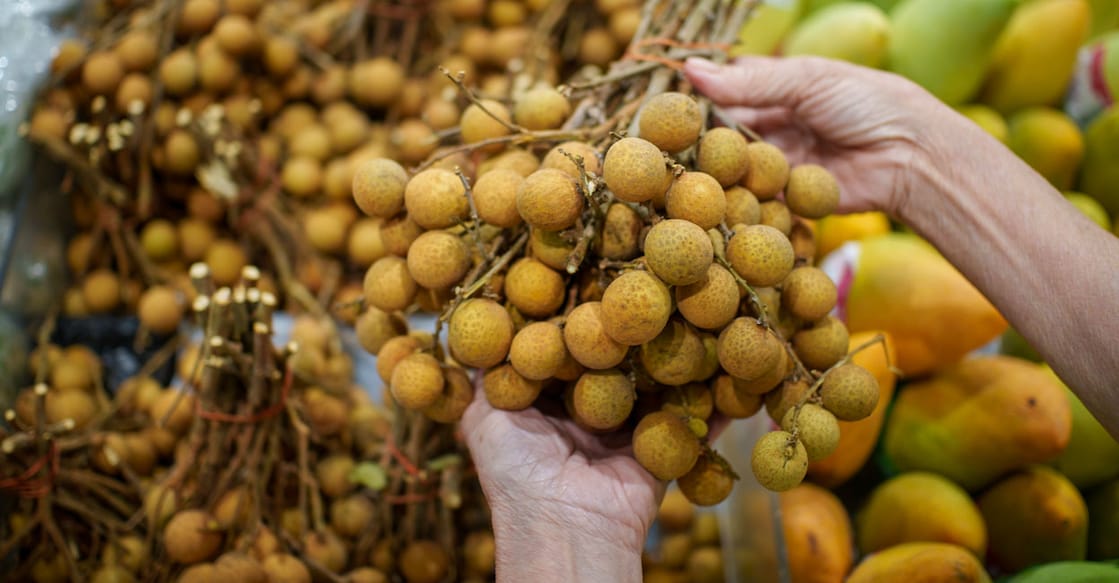 A close-up view of an unrecognizable person holding a large cluster of fresh brown longan fruit over a retail display in a grocery store. Photo: iStock/Pikusisi-Studio