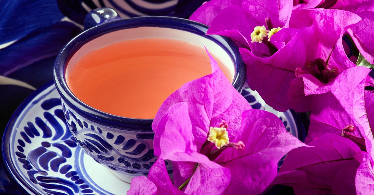 Have bougainvillea flowers at home? Make this Mexican cou...