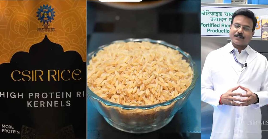 Protein rice (left); C Anantharamakrishnan: Photo: Screengrab/CSIR NIIST