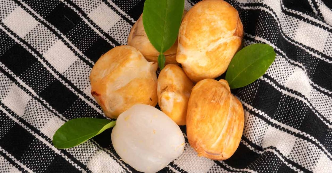 The translucent, jelly–like flesh inside the greyish – black hard shell of the ice apple is sweet and refreshing. Photo: Shutterstock/Raksha Shelare