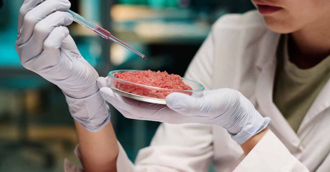 According to the National Institutes of Health, cultivated meats have many health benefits. Photo: iStock/AnnaStills