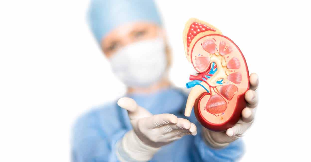 Two Main Resson Doctor explains the two main reasons for kidney diseases | Healthcare ...