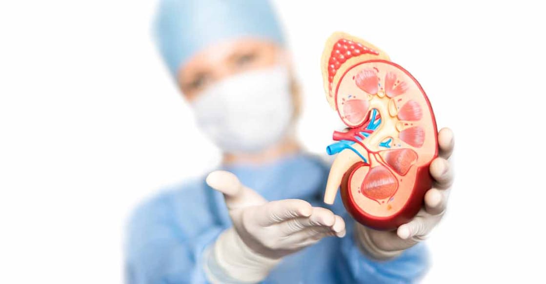 Kidney health is not just about numbers in medical reports; it forms the foundation of a healthy and fulfilling future. Photo: iStock/yezry
