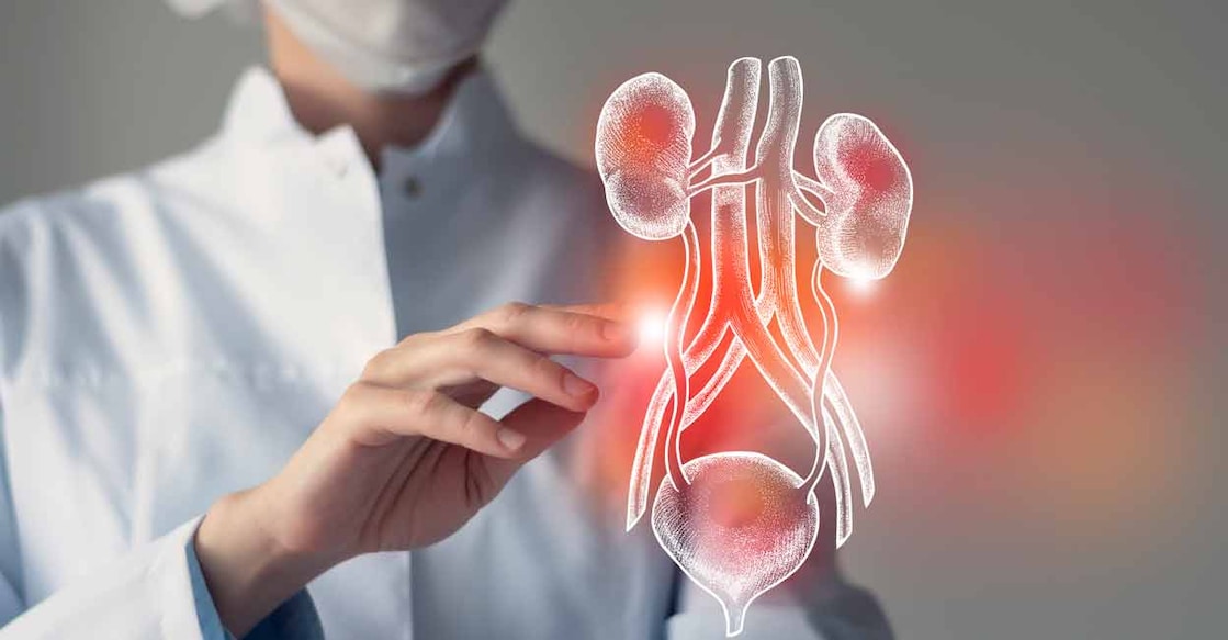 Kidney ailments are called 'silent disease' because they rarely show symptoms in the initial stages. Photo: iStock/mi-viri