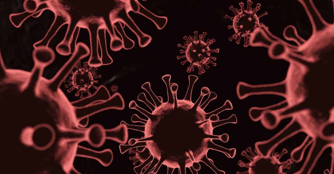 The World Health Organisation has classified it as BA.3.2, aka Cicada. Photo: iStock/HomePixel