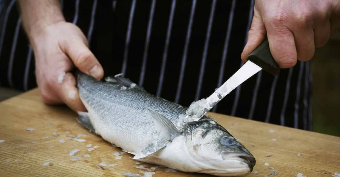 The discovery has been made by a team of researchers led by the Central Institute of Fisheries Technology (CIFT). Representative image/Shutterstock/MintImages