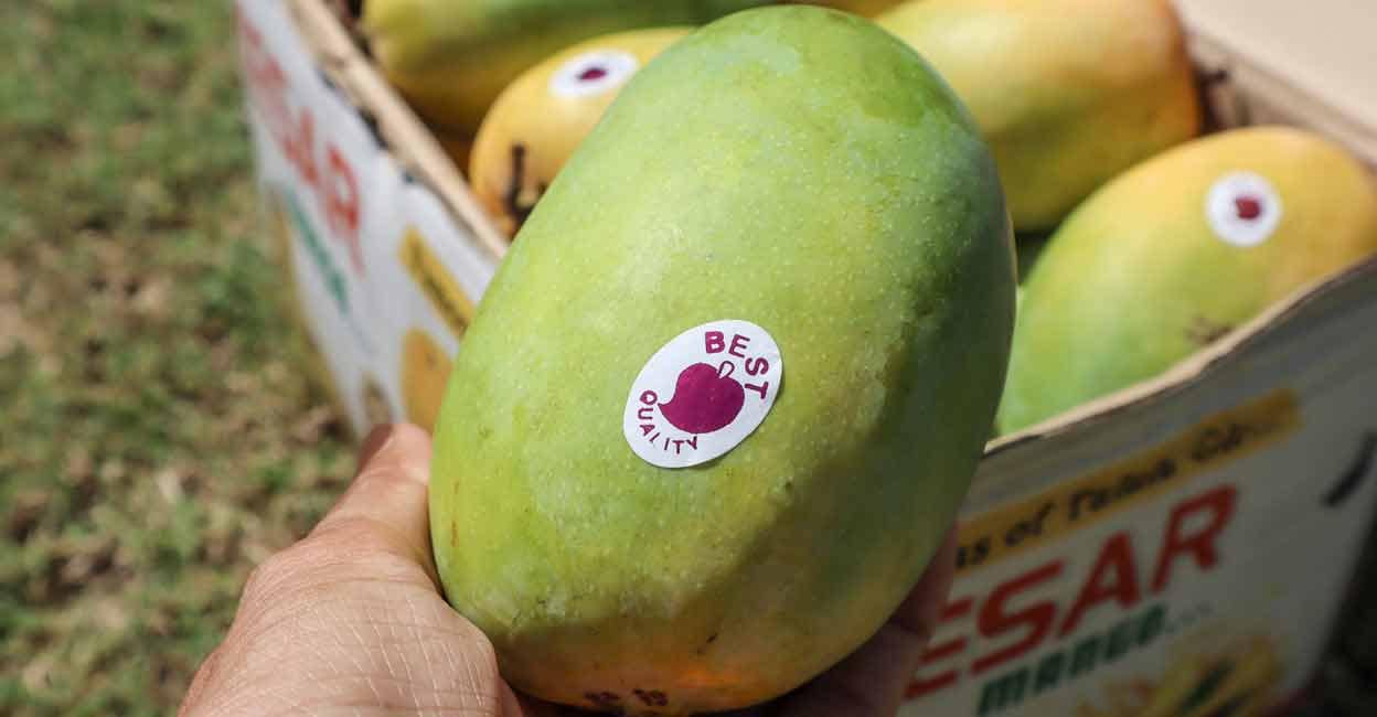 Stickers on vegetables and fruits are not ensuring customers what they ...