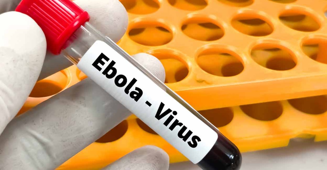 Ebola is a viral hemorrhagic fever that damages blood vessels. Photo: iStock/Md Ariful Islam
