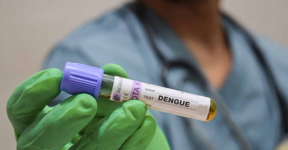 Dengue is much more dangerous for people with comorbidities or other existing diseases, as it makes it much harder for the body to cope with drops in blood pressure and organ stress.  Photo: Shutterstock/bangoland