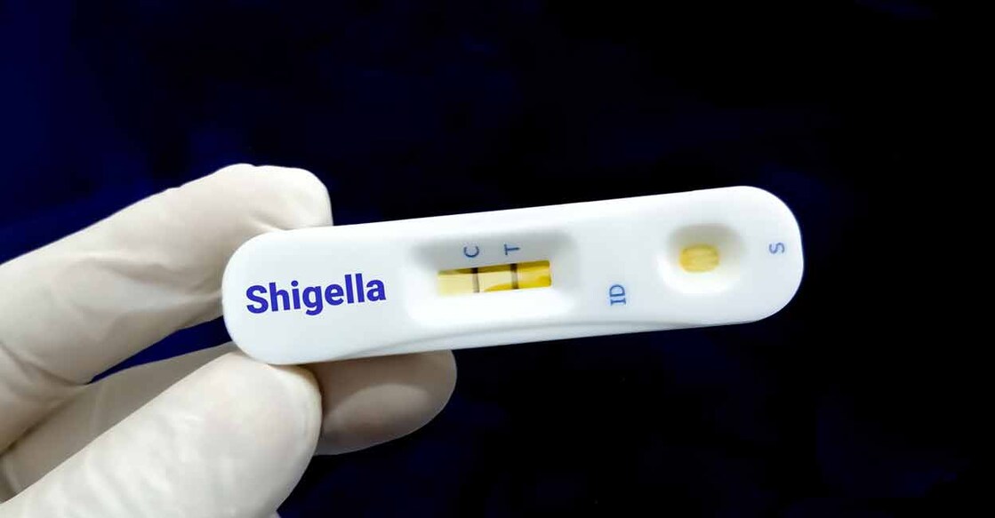 The variety of Shigella causing the current spread is apparently 'Shiga' or 'Shigella dysenteriae type 1.' Photo: iStock/Md Saiful Islam Khan