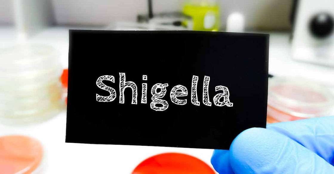 Kerala already has 85 Shigella cases so far this year.  Photo: iStock/Md Saiful Islam Khan