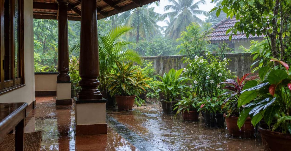 While continuous rains or a dry climate don't create ideal conditions for dengue spread, alternating spells of rain and sunshine do. Photo: AI-Generated image