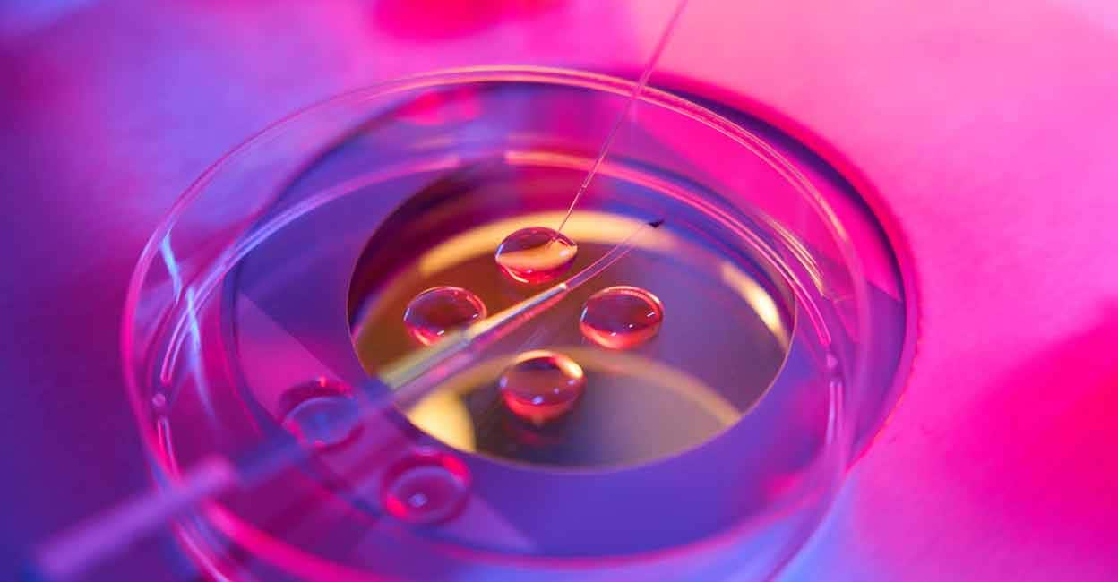 What is the ideal age for egg freezing? Reproductive expert explains ...