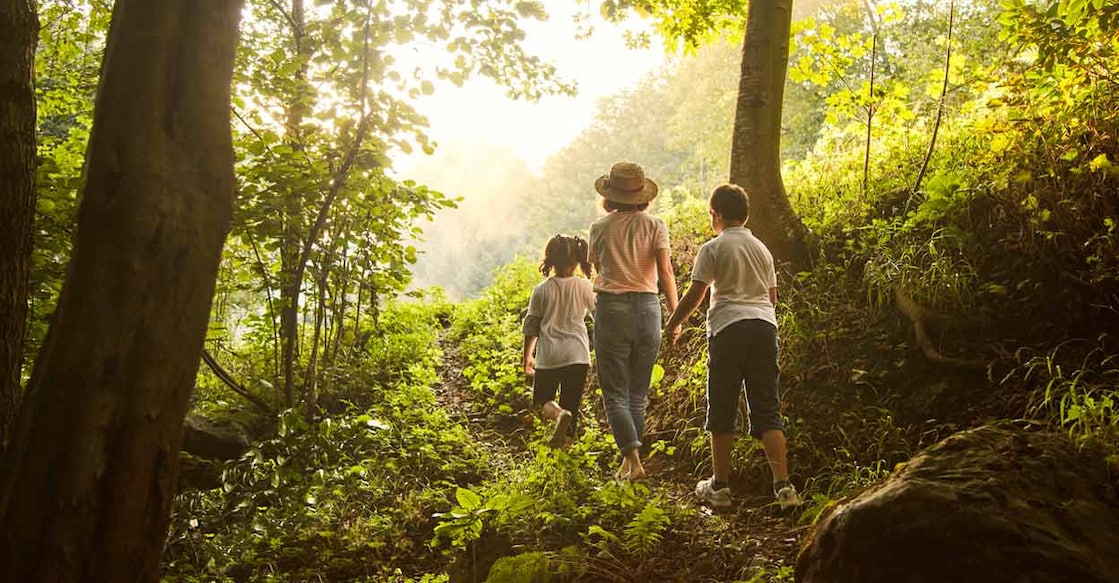 As part of the programme, children will take part in short nature walks designed around the concept “more sights, more insights.” Representative image/iStock/bombuscreative