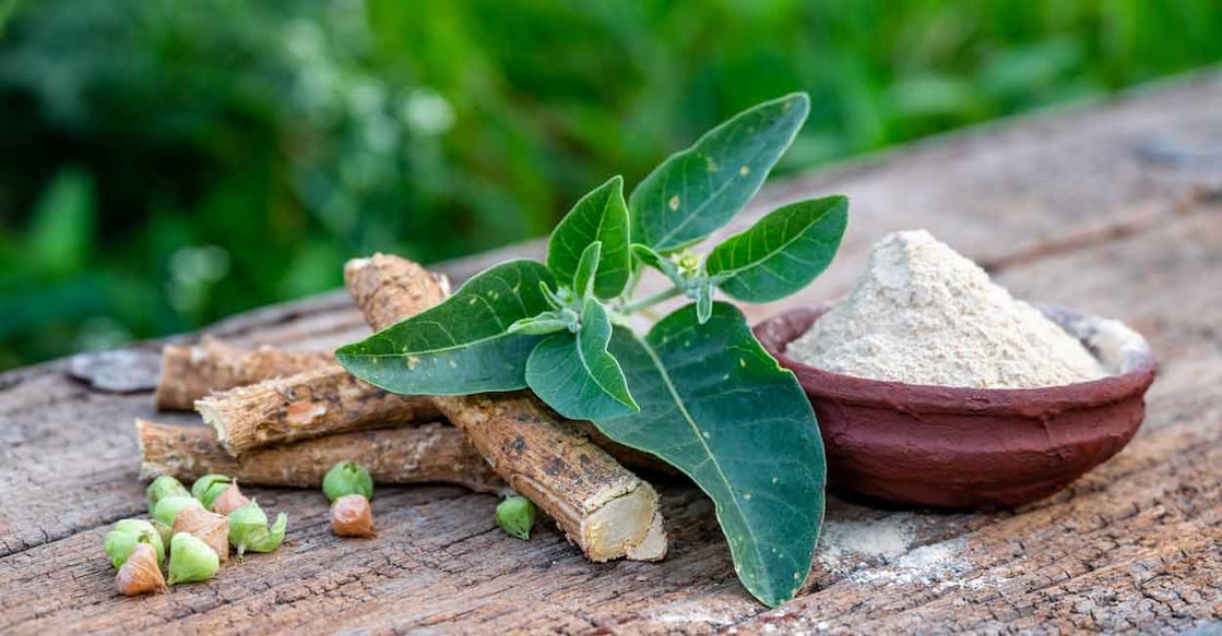 Ashwagandha has relaxing properties. Photo: iStock/kiran nagare