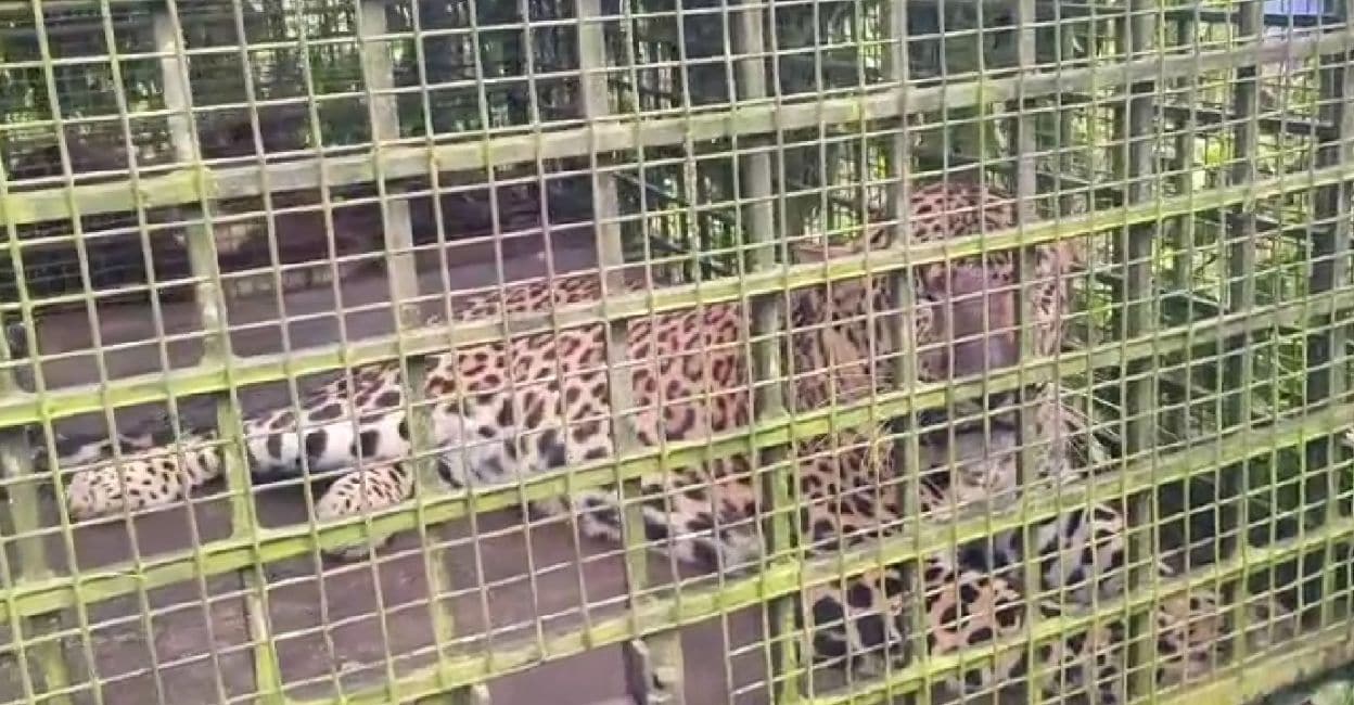 OnManorama - Other - News Image