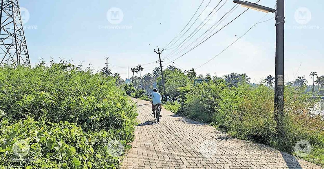 nedungadu-palli-bridge