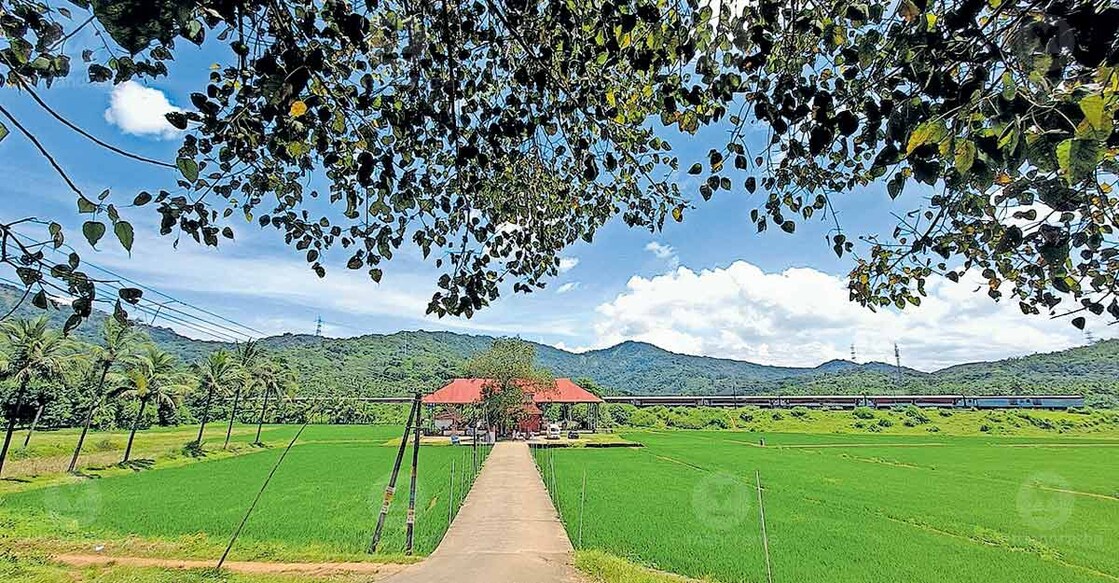 Uthralikkavu temple amid the mesmerissing lush green surroundings. Photo: Special arra,ngement