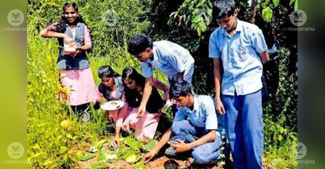 NSS volunteers at Ezhom Kottila Government Higher Secondary School serving a feast for ants and other species in the biodiversity park. Photo: Special arrangement