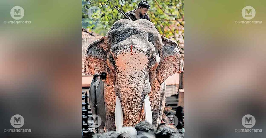 thechikkottu-ramachandran