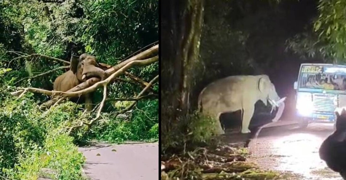 kabali-athirappilly-c