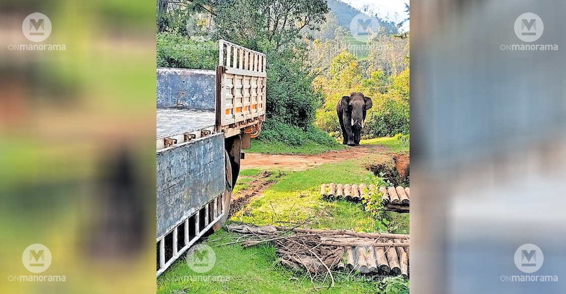 Padayappa standing near the truck that brought the ration supplies, including rice. Photo: Manorama