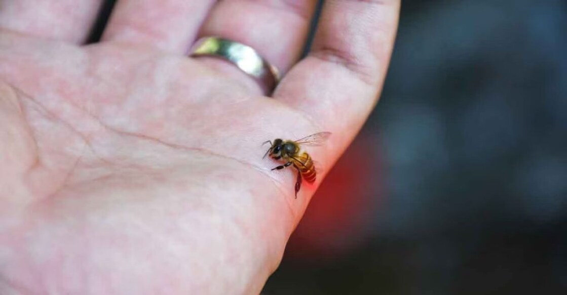 Representational image. iStock/Prompilove