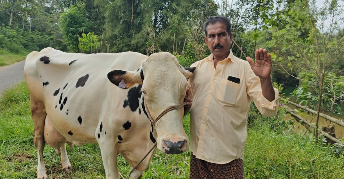 Poulose with his hybrid cow. Photo: Special Arrangement.