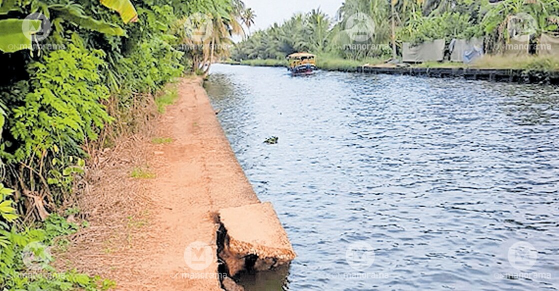  The retaining wall of the Pallithodu stream lies collapsed near Bakery Bridge. Photo: Manorama
