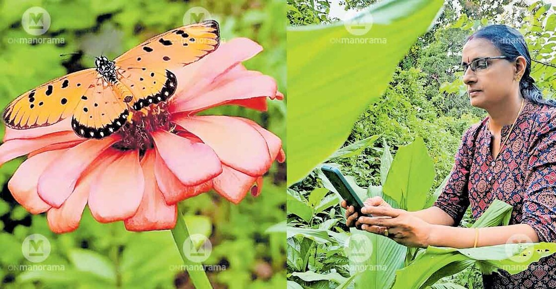 Savitha capturing a butterfly in her mobile camera. Photo: Special arrangement