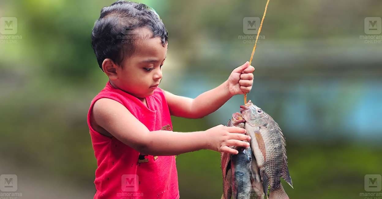 Native fish species loosing out to Bengal varieties: Students' study in Malappuram