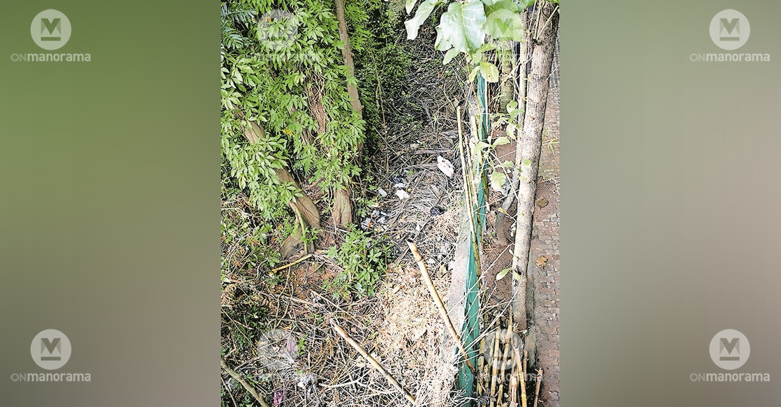 Buckingham Canal. Photo: Manorama