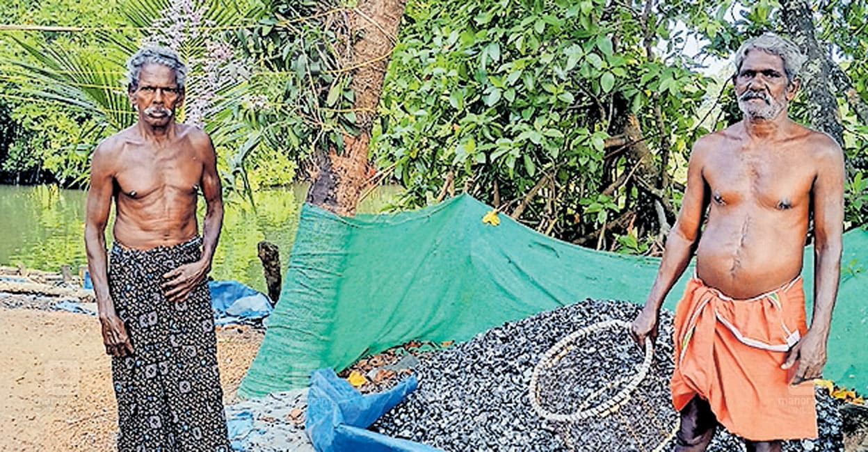 Pollution decimates clam beds in Vembanad lake, traditional workers struggle to survive