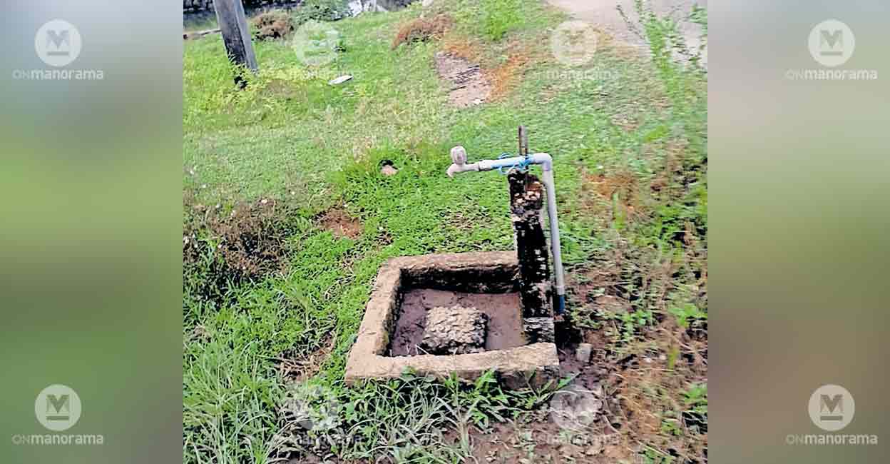 OnManorama - Other - News Image